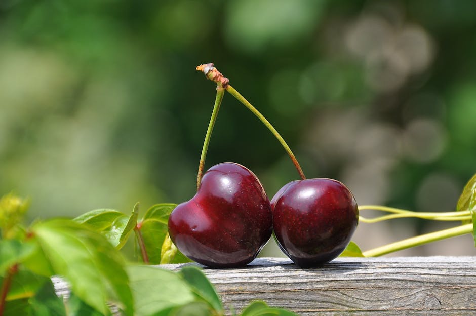 cherry vinegar benefits